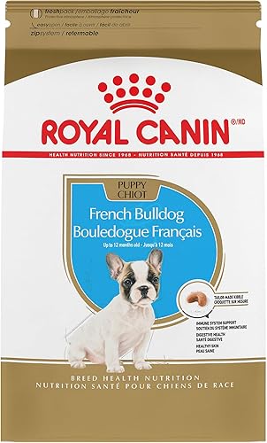 Royal Canin French Bulldog - Alimento seco para cachorros, bolsa de 10.5 libras