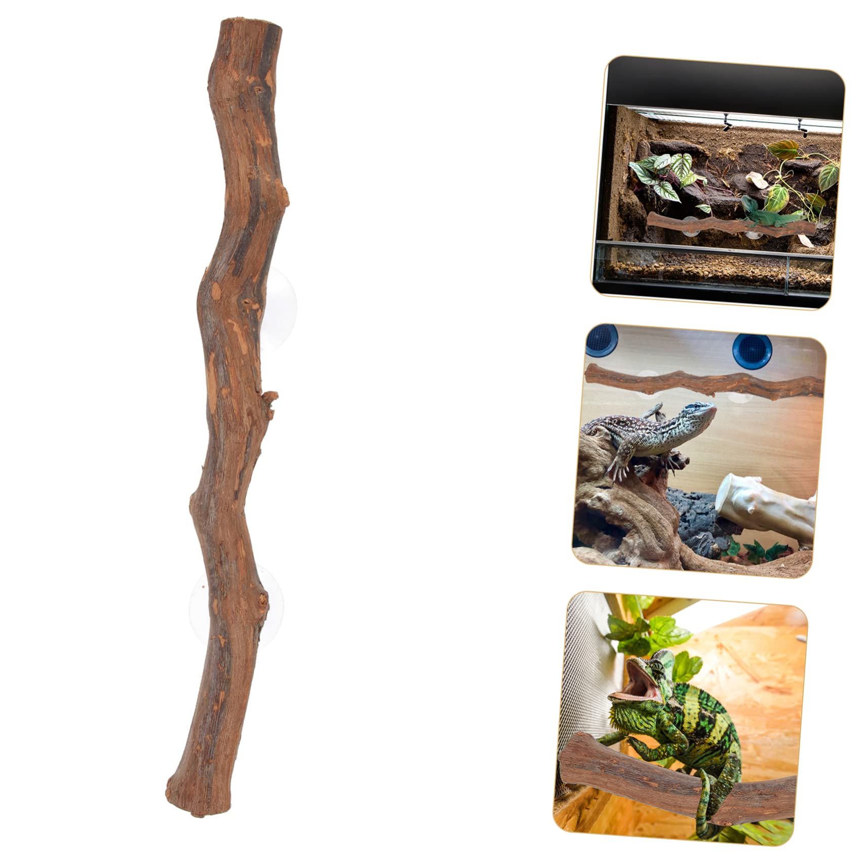 Yardwe 4 Piezas de Mascotas Lagarto Enredaderas para terrario de Reptiles decoración del terrario de Reptiles árbol Decoración para terrarios Accesorios para Reptiles de Madera