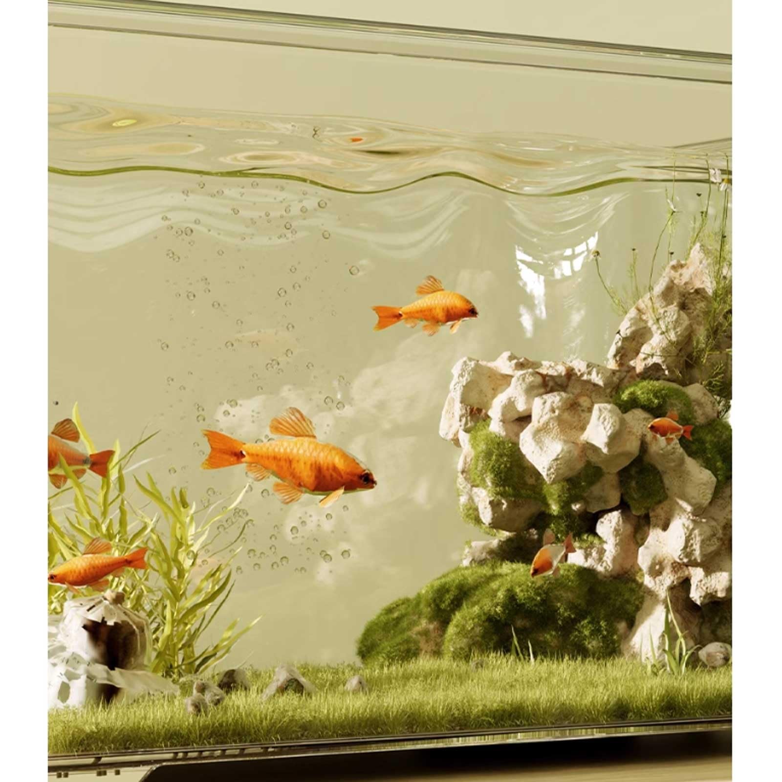 Acquario Acquario in Acrilico Trasparente con Coperchio Bianco, Piccolo Soggiorno, Acquario da Tavolo, Piccolo Ufficio, Decorativo, Acquario for Tartarughe Acquario per Pesci