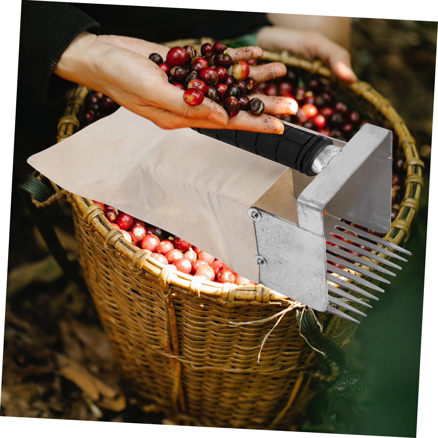 UKCOCO Recolector De Arándanos Portátil con Mango, Pala Pequeña De 4,5 Mm, Herramienta Ligera para Recoger Frutas Pequeñas Jardinería, Adecuado para Huertos y Cosecha Manual