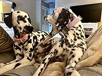 Review Image by Sydney Cichon Sydney Cichon