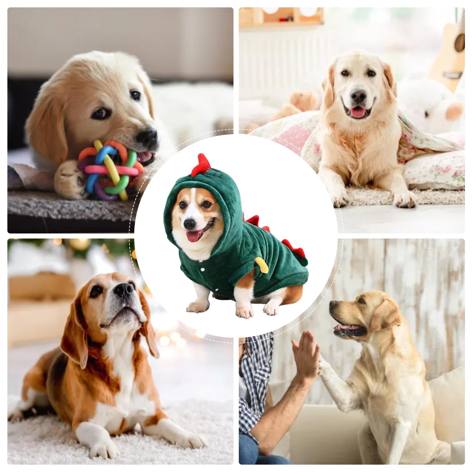 Dino-Kapuzenpullover Für Hunde & Katzen - Weiches Kostüm Mit Schwanz