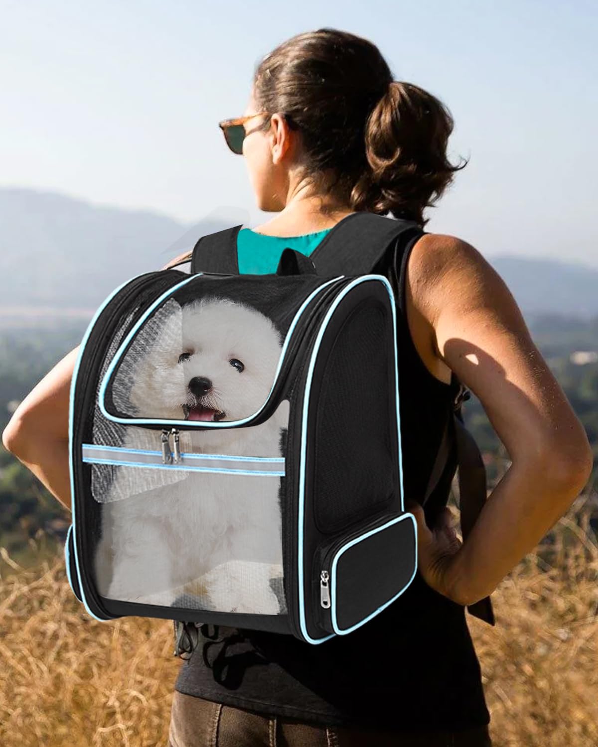 PETCUTE Zaini per Trasporto Cani Gatto Zaino Borsa da Trasporto Trasportino Gatto Cane per Animali Domestici Zaino Regolabile per Gatto Cane fino a 3,5 kg Viaggio Auto Treno