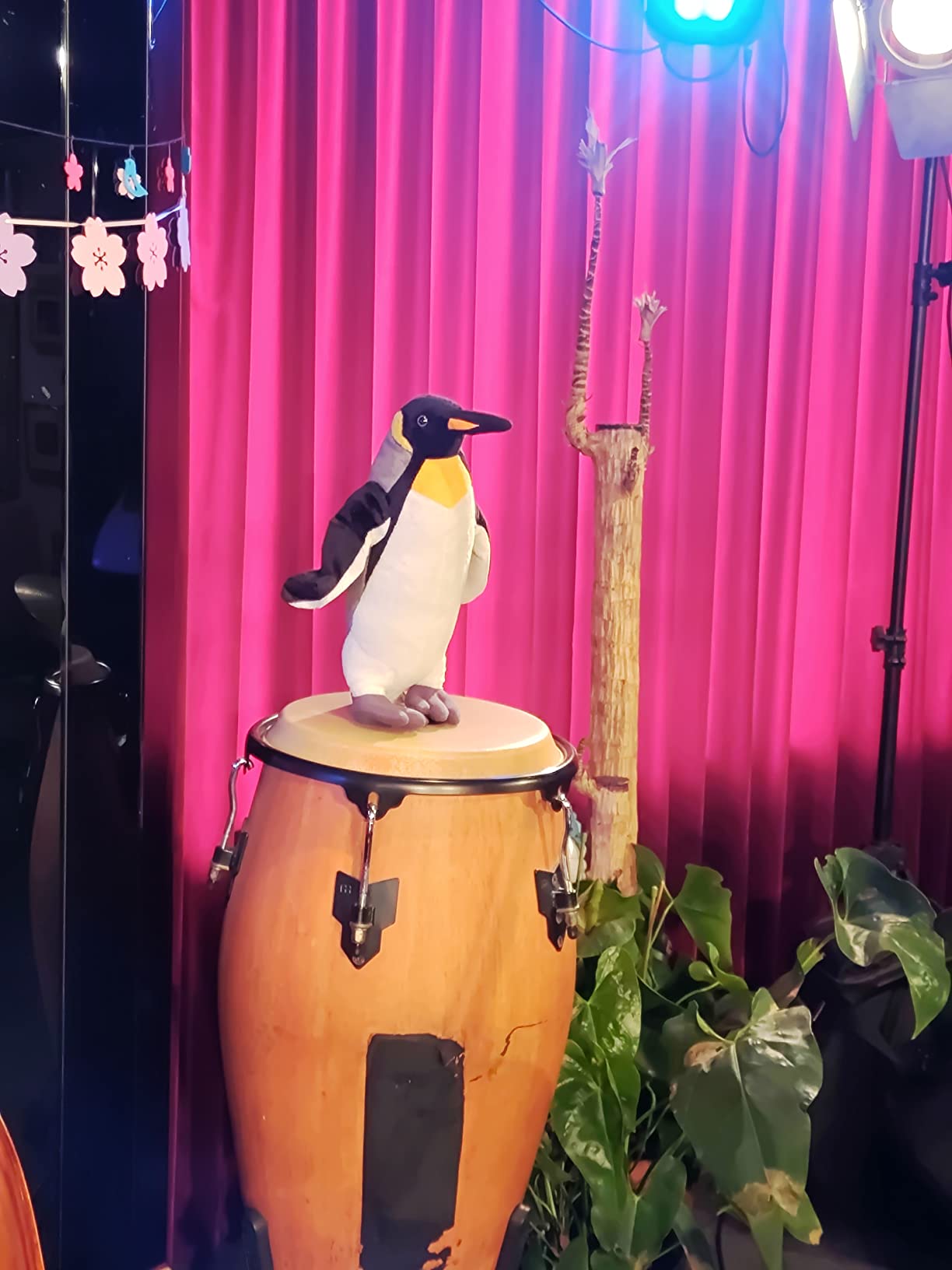 お客様イメージ