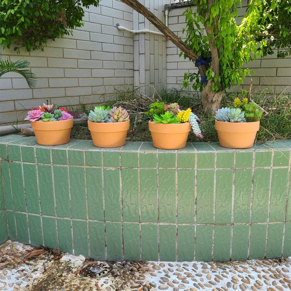 Yishang 6 Inch Terracotta Shallow Planters,Ceramic Flower Clay Plant Pots with Drainage Hole,Unglazed Cactus/succlent Plant Containers Indoor Garden Bonsai Pots