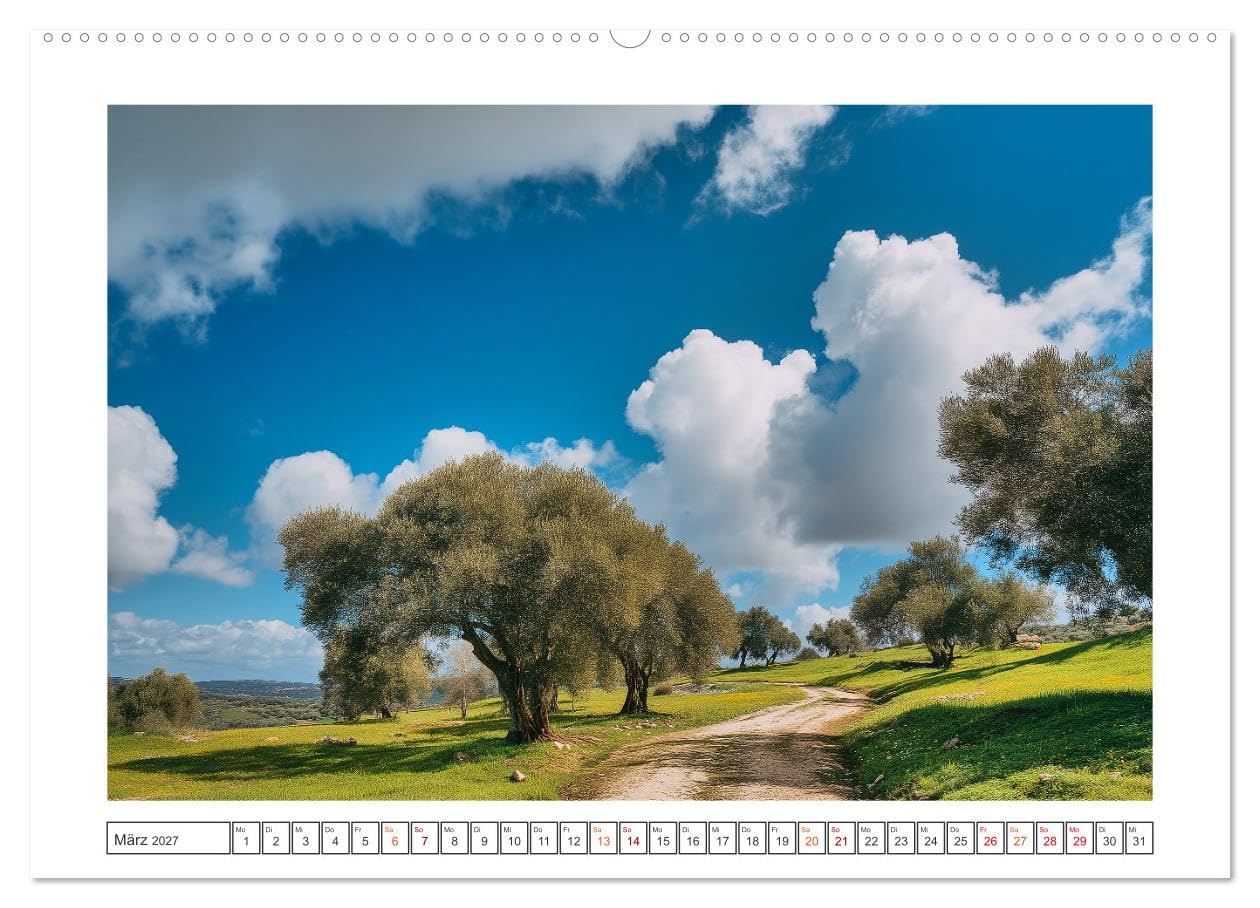 Die Magie der Olivenhaine (hochwertiger Premium Wandkalender 2027 DIN A2 quer), Kunstdruck in Hochglanz: Silbergrüne Olivenhaine, warmes Licht und die ... dich durch das Jahr. (CALVENDO Natur)