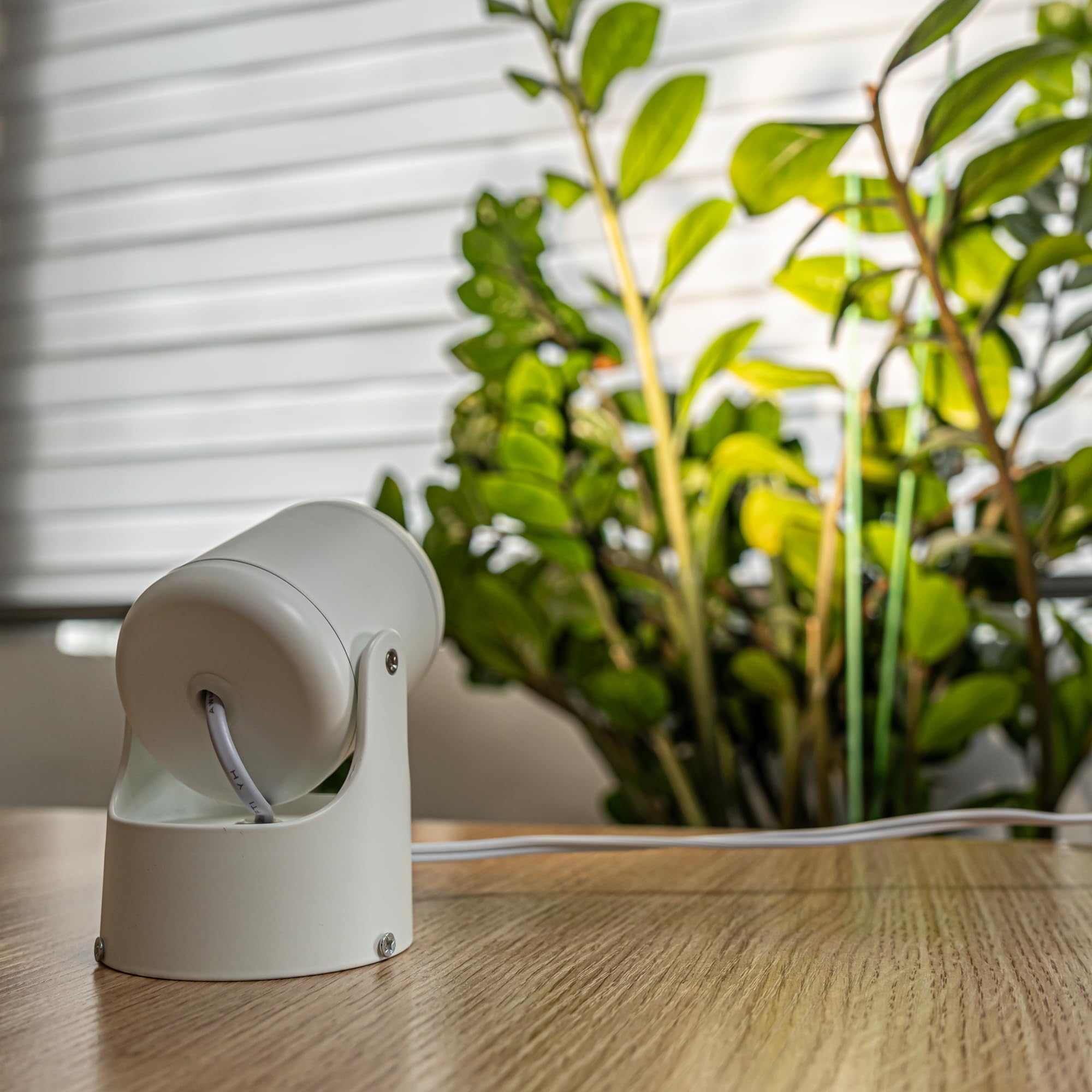 Amazon.co.jp : STGGTS 5W スポットライト 植物育成ライト 植物