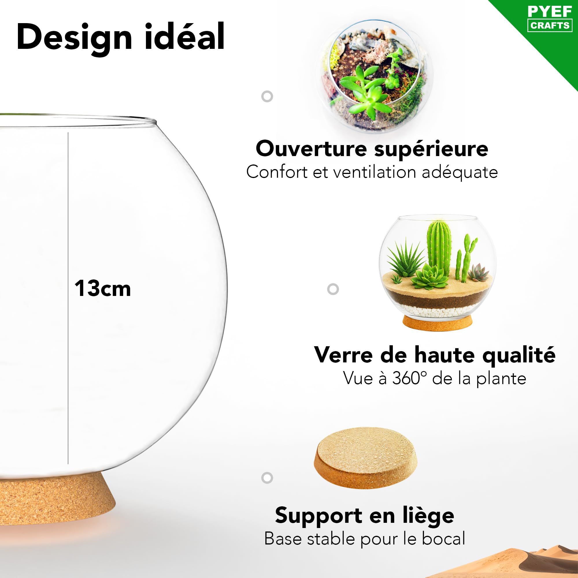 Kit terrarium plantes succulentes et cactus DIY - Ecosystème désertique en verre - Aquarium naturel pour plantes souches et cactus - Jardin éternel