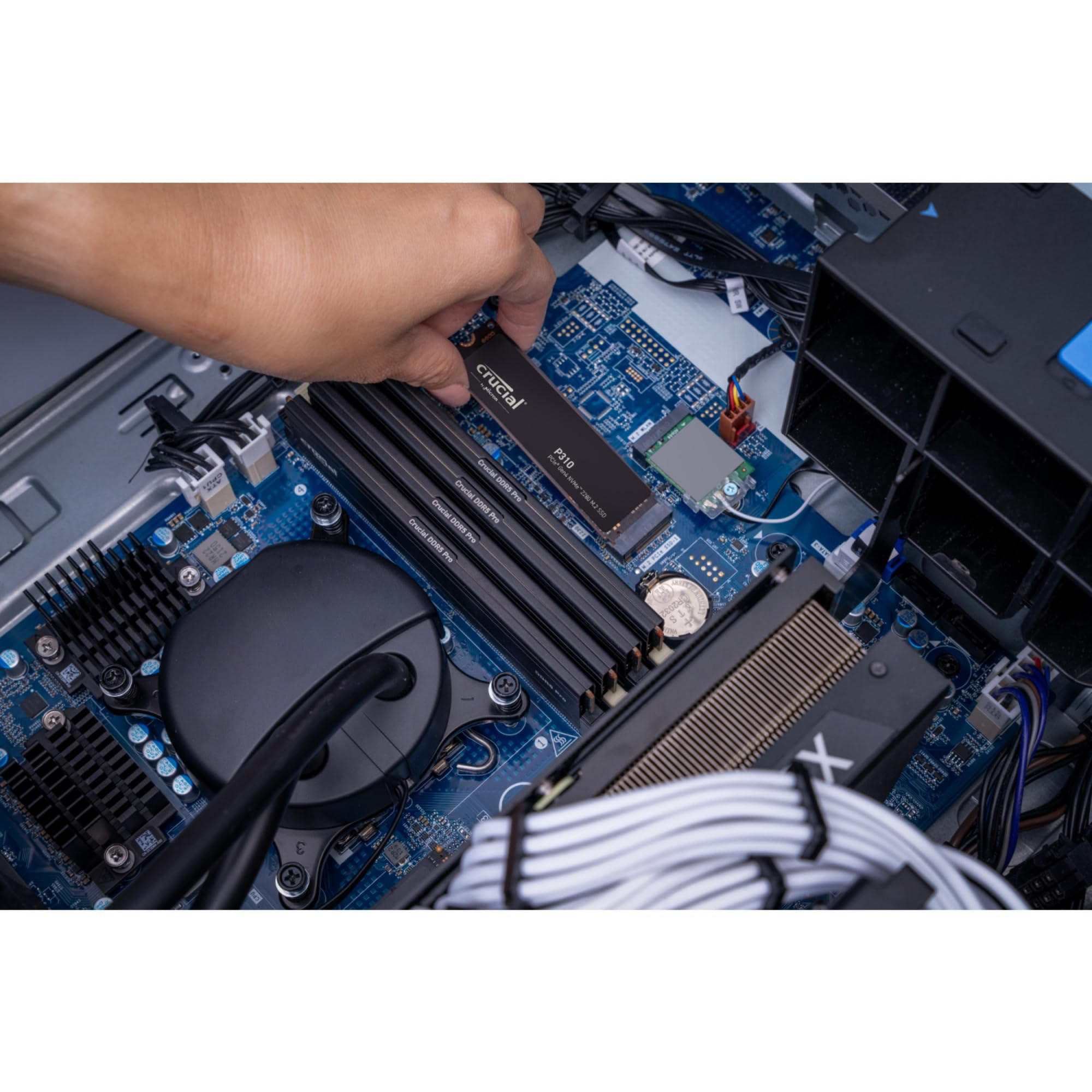 Crucial P310 Gen4 2280 2TB NVMe PCIe M.2 SSD (CT2000P310SSD8)