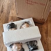 Bill And Beryl Elves Sitting, 20 Cs Tall Garden Ornaent, Gnoe