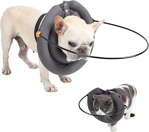 Miniatura 1 de Hekisace - Accesorios para perros ciegos, anillo ligero para perros y gatos ciegos, dispositivo de guía ajustable, arnés de collar de mascotas,