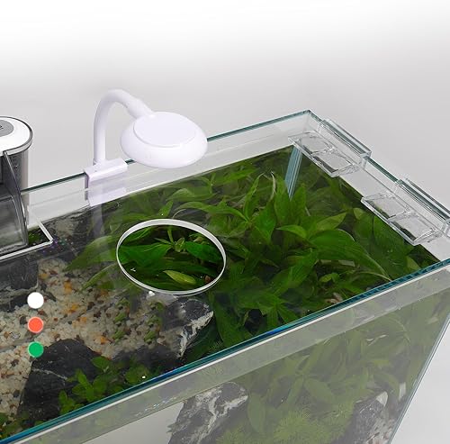 5 Gallon Glass Small Fish Tank with Filter Light and — shown in a real home setting for scale