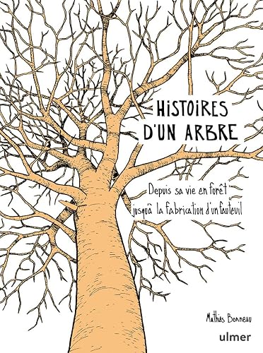 Histoires d'un arbre - Depuis sa vie en forêt jusqu'à la fabrication d'un fauteuil