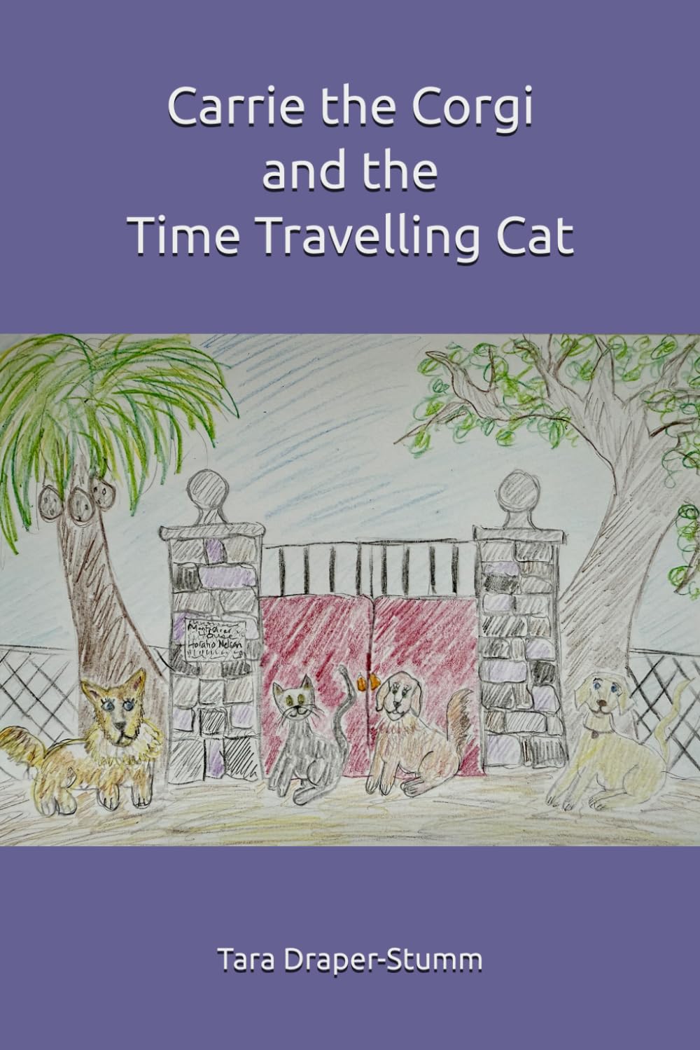 Carrie the Corgi and the Time Travelling Cat: 1 (Carrie the Corgi and the Time Travelling Cat Adventures)