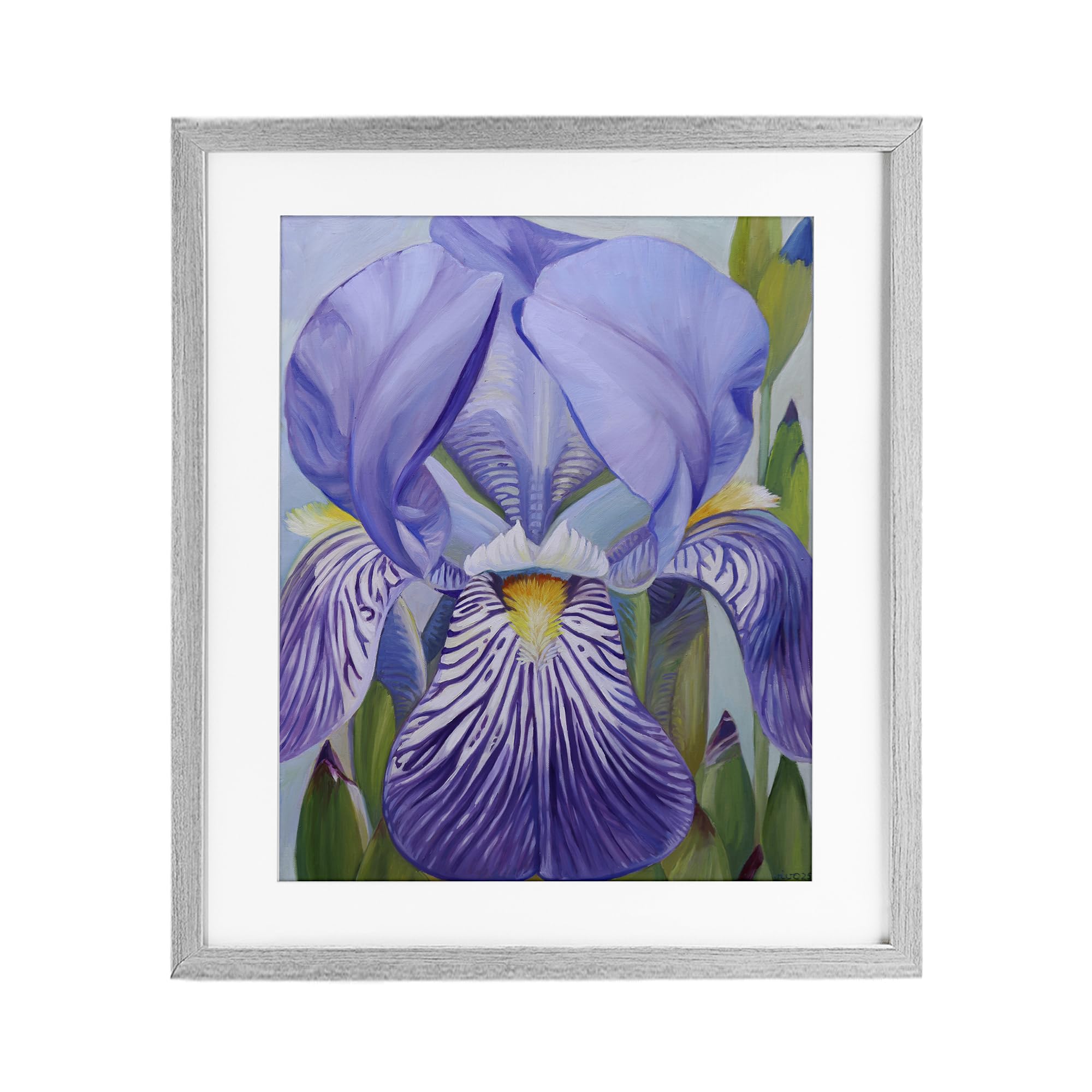 Stupell Industries Farmhouse Gray (Textured) 'Blooming Purple Iris Petals'| Framed Print Under Glass