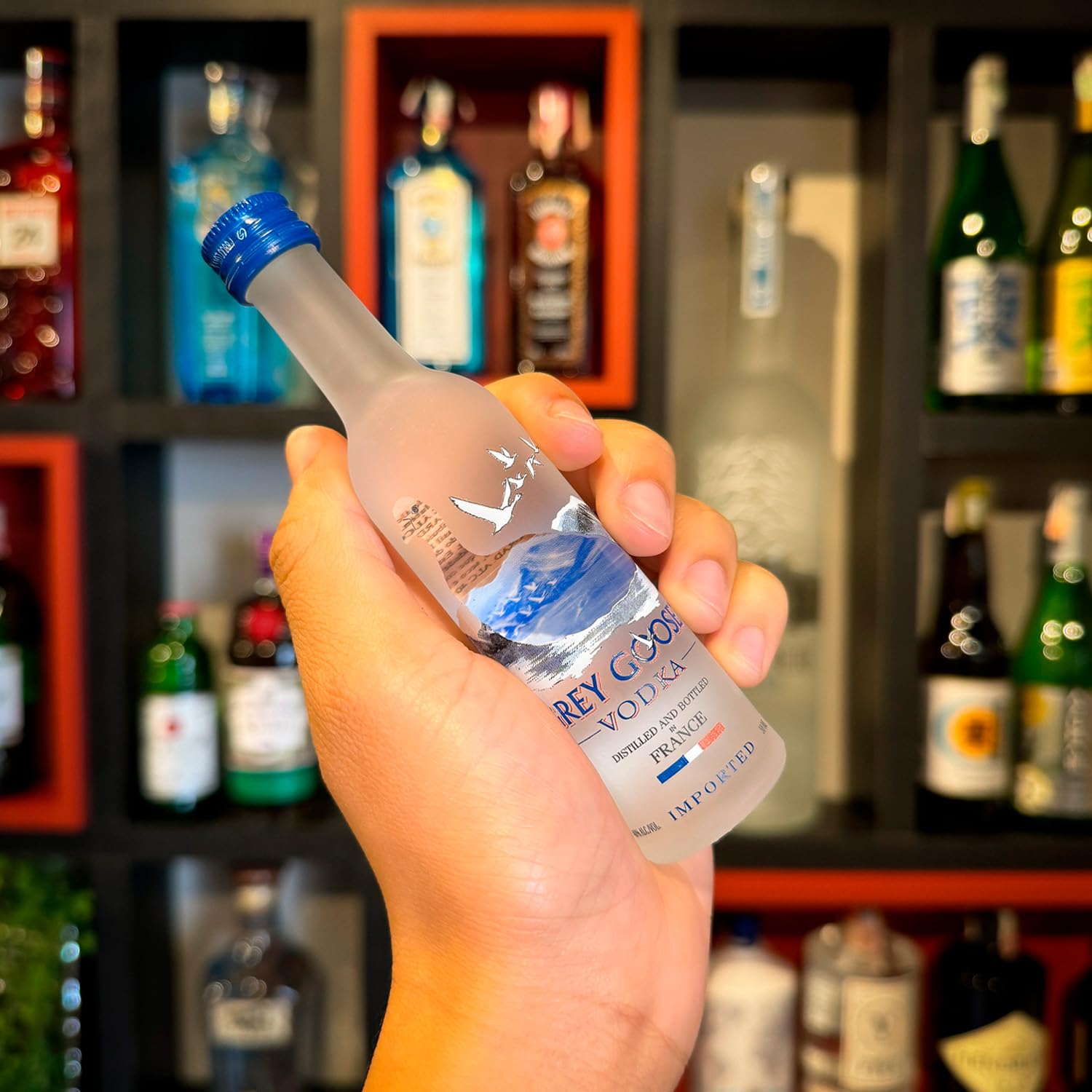Caja de 12 mini Grey Goose Vodka de 5cl 12X5cl 40%