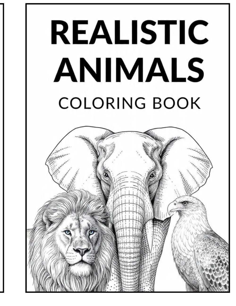 Realistic Animals Coloring Book