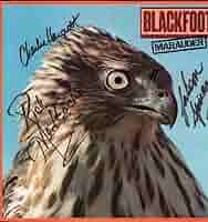 洋楽 BLACKFOOT / MARAUDER Blackfoot – Marauder – Vinyl (LP, Album, Stereo), 1981