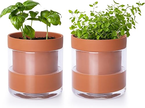 Vista 32 de Phoenix Vine Maceta de riego automático de 4 pulgadas, maceta de arcilla de terracota con depósito de vidrio para plantas de interior, hierbas