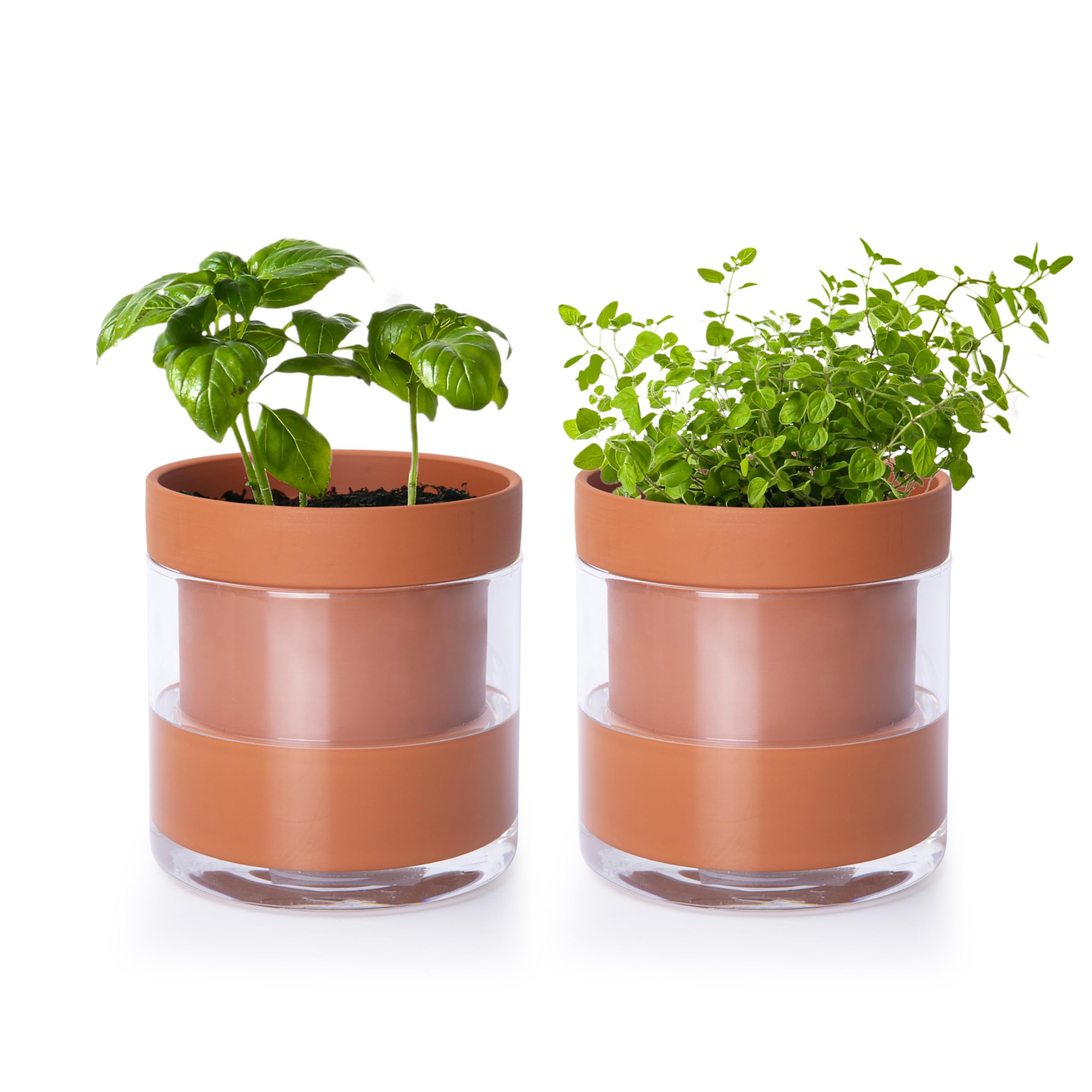 Phoenix Vine 4 Inch Self Watering Planter Pot, Terracotta Clay Pot with Glass Reservoir for Indoor Plants, Herbs, Flowers, Set of 2, 52-A-E-2