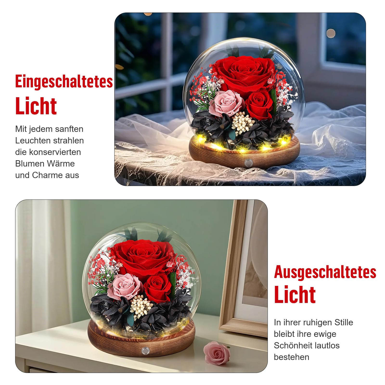Ewige Rosen im Glas mit LED Licht, Infinity Rose, Konservierte Rosen aus echter Blume, Geschenk für Frauen, Mama oder Freundin, Valentinstag, Jahrestag, Geburtstag, Muttertag, Rote Rose