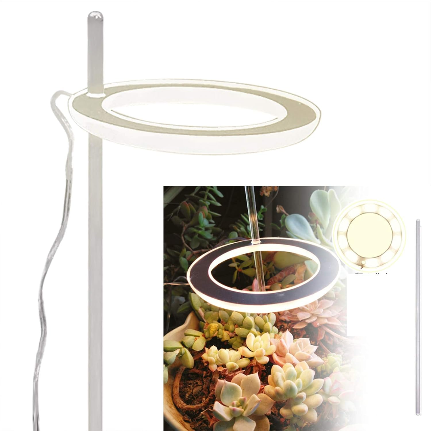 grow ring light