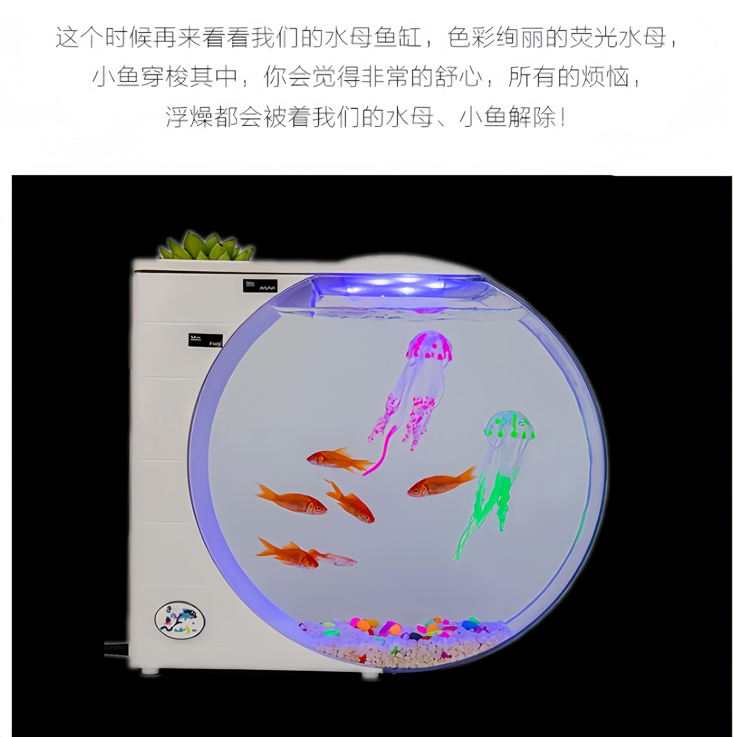 Amazon | COMEDYKINGクラゲ専用水族館、クラゲ水槽、卓上生態水槽