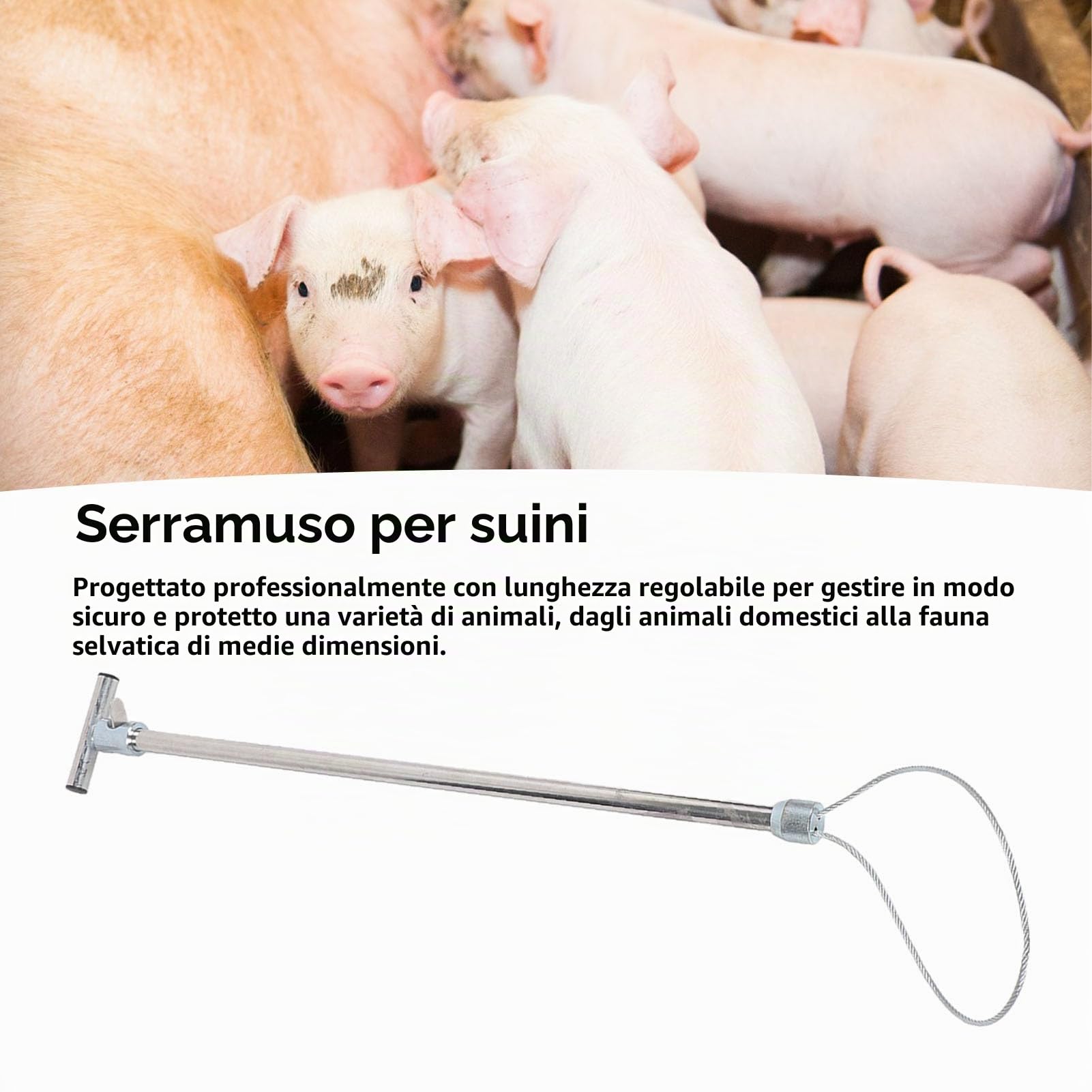 HEEPDD Acchiappacani per Cani Supporto per Maiali Asta per Maiale Catcher per Maiale Strumento per Cattura Animali in Acciaio Inossidabile per Attrezzature per L'allevamento (Maniglia a