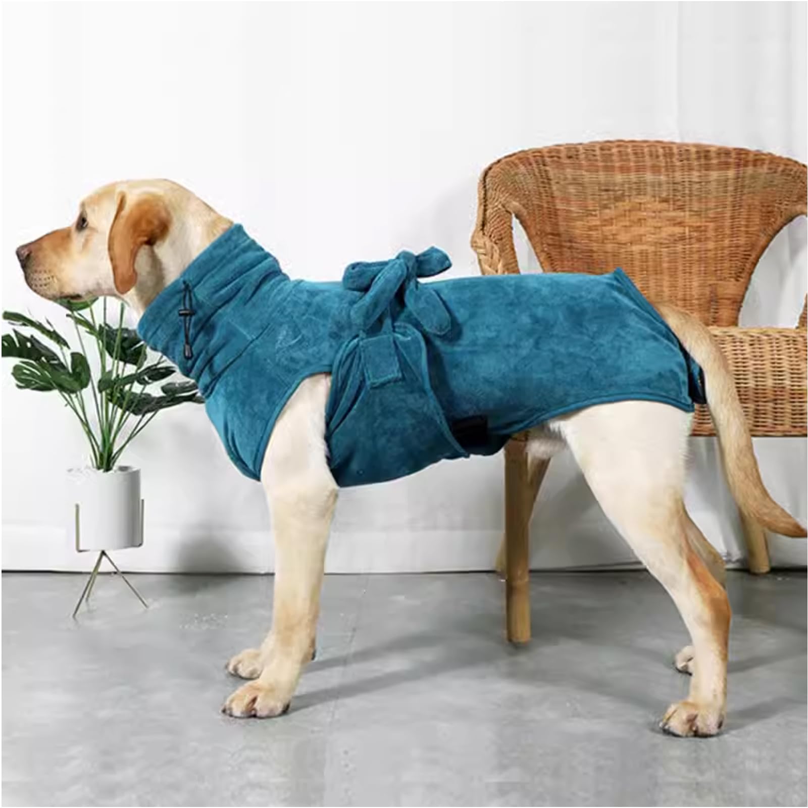 Accappatoio per Cani, Asciugamano Ad Asciugatura Rapida per Doccia E Bagno per Animali Domestici, per Asciuga Il Tuo Cane Dopo Aver Nuotato E Fatto Il Bagno,XL