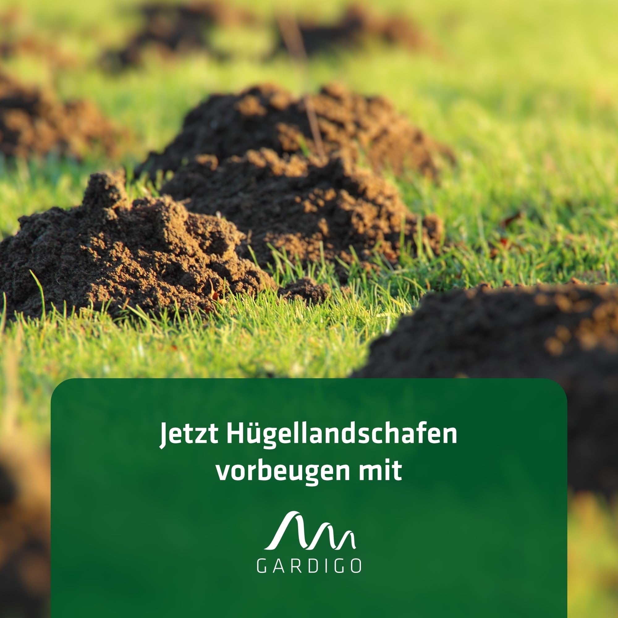 GARDIGO® Wühlmausfalle Komplettpaket | 4er Set Wühlmausfallen mit Lochstanze und Lochfinder | Wühlmaus vertreiben durch Wiederverwendbare Fallen für den Garten | Wühlmausschreck