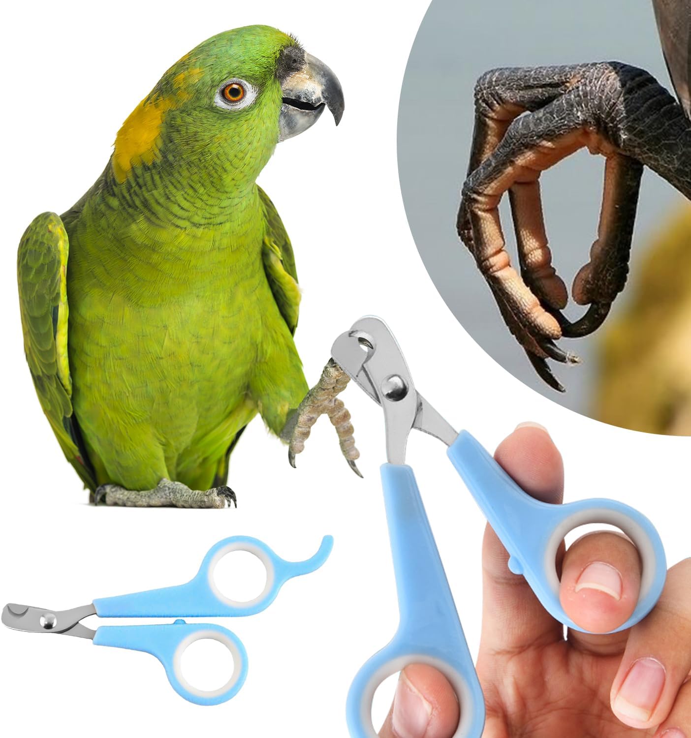 MFUOE Bird Nail Clipper Parrot Birds Grooming Tool Nail Scissors Clipper Non-Slip Big Handles Nail Clippers for Pet Small Animals Accessory (pink and white) 4 71nkpYMItuL. AC SL1500