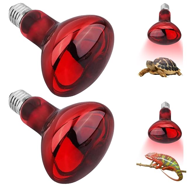 UQTUKO Bombillas de Calefacción para Reptiles