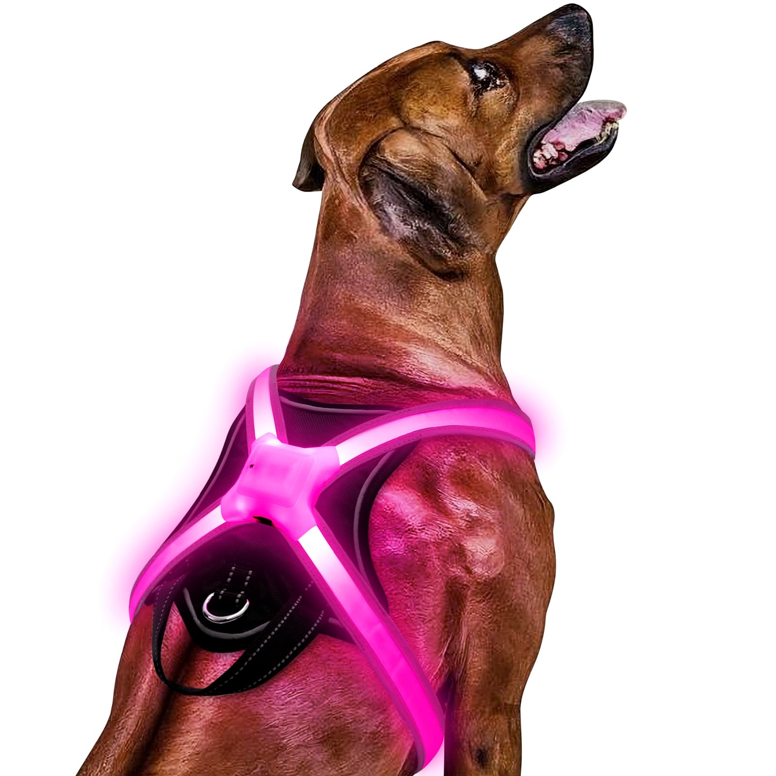 Light Up Dog Harness – Multicolor LED Dog Harness with 7 Lighting Modes | No Pull USB Rechargeable Safety Vest with Handle for Medium Large Dogs | Waterproof & Adjustable Glow-in-The-Dark Illuminated