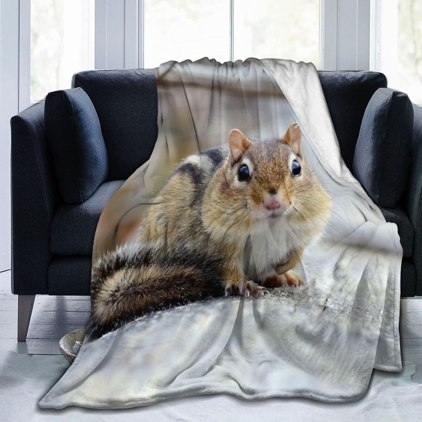 XVBCDFG Little Chipmunk Resting Flannel Fleece Throw Blanket Sofa Throws Personalised Blankets for Adult Child Blankets for Family 50"X40"