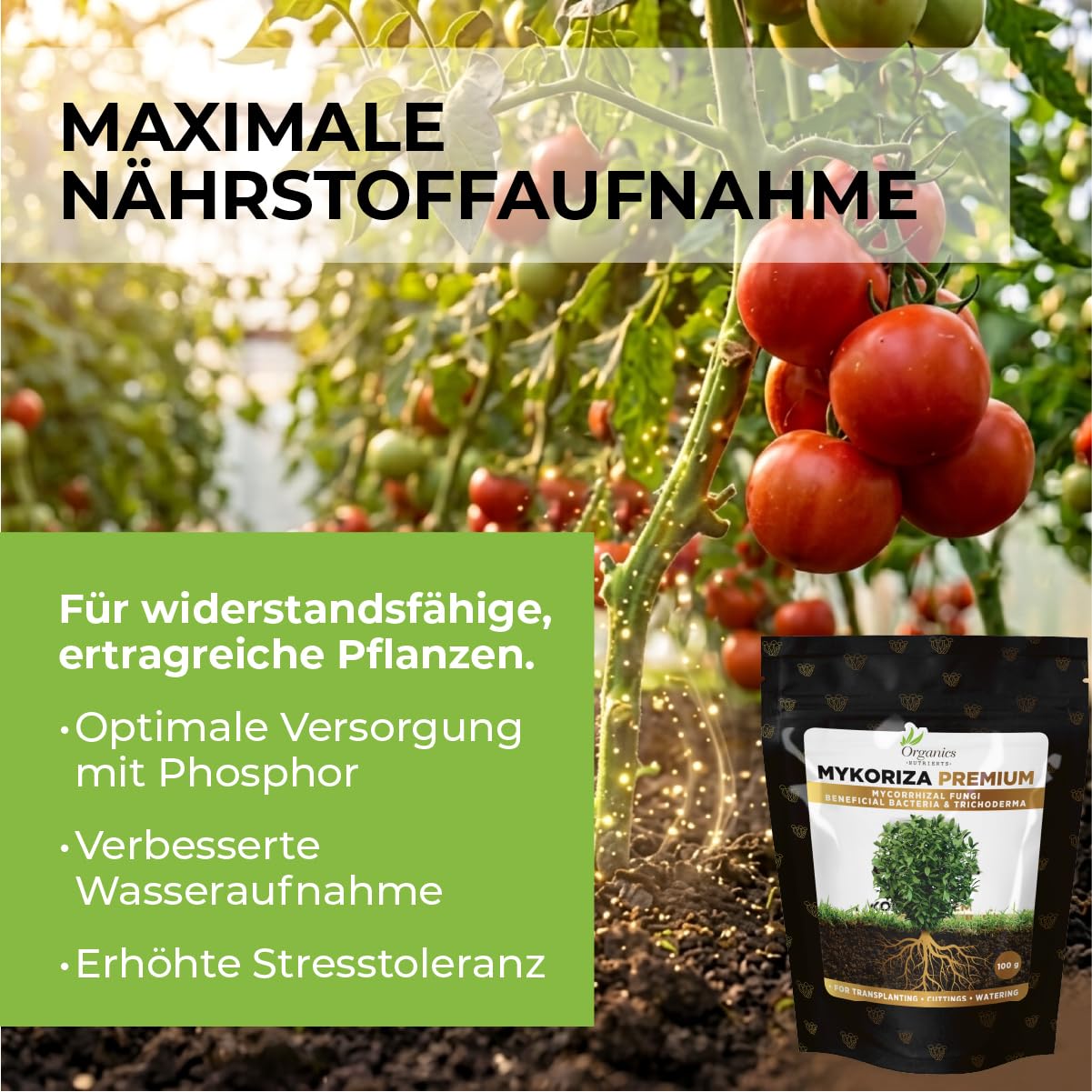Mykoriza Premium, Organic endo&ecto mycorrhizae, 100g