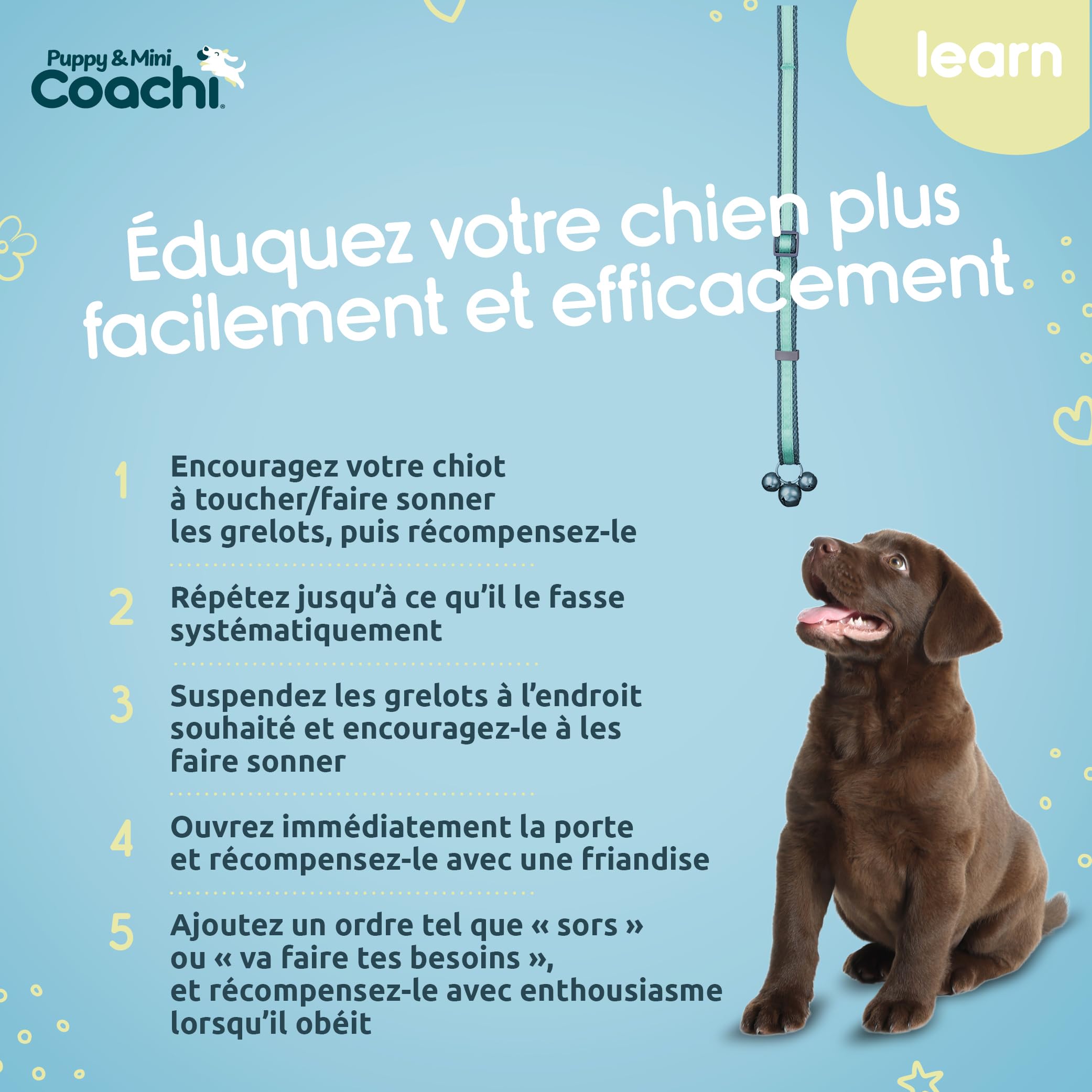 Coachi Toilet Training Bells pour Chiots et Nouveaux Chiens. Éducation à la Maison, Stop grattements aux Portes, faciles à Utiliser et Entendre, réglable. Accessoire idéal pour Dressage au clicker