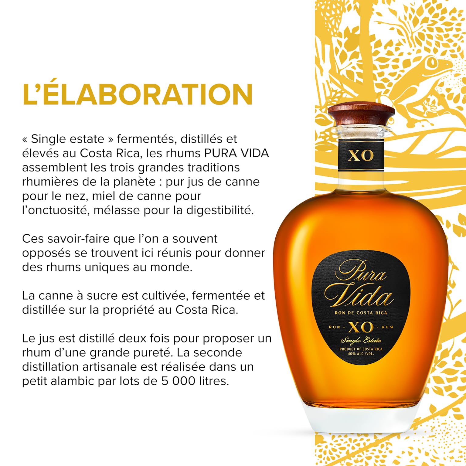 PURA VIDA - Rhum XO - Rhum Vieux - Médaille d’OR au Rum and Cachaça Masters 2025 - 40 % Alcool - Origine : Costa Rica - Bouteille 70 cl