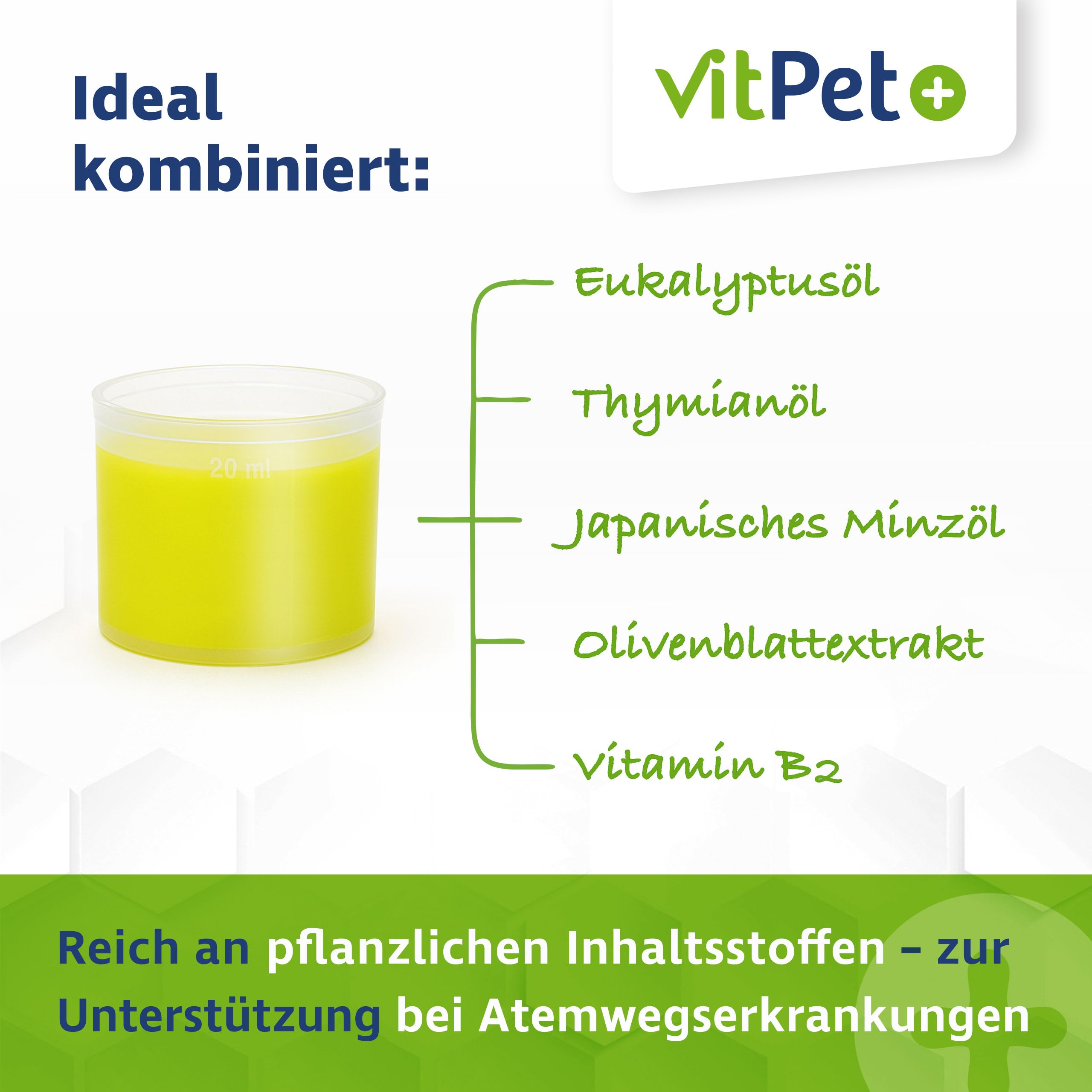 PneumoCare – Hustensaft für Pferde – 1000 ml – Bei Husten Pferd – Schleimlösend und beruhigend – Mit Eukalyptus, Thymian und Olivenblattextrakt – Unterstützt Bronchien und Immunsystem