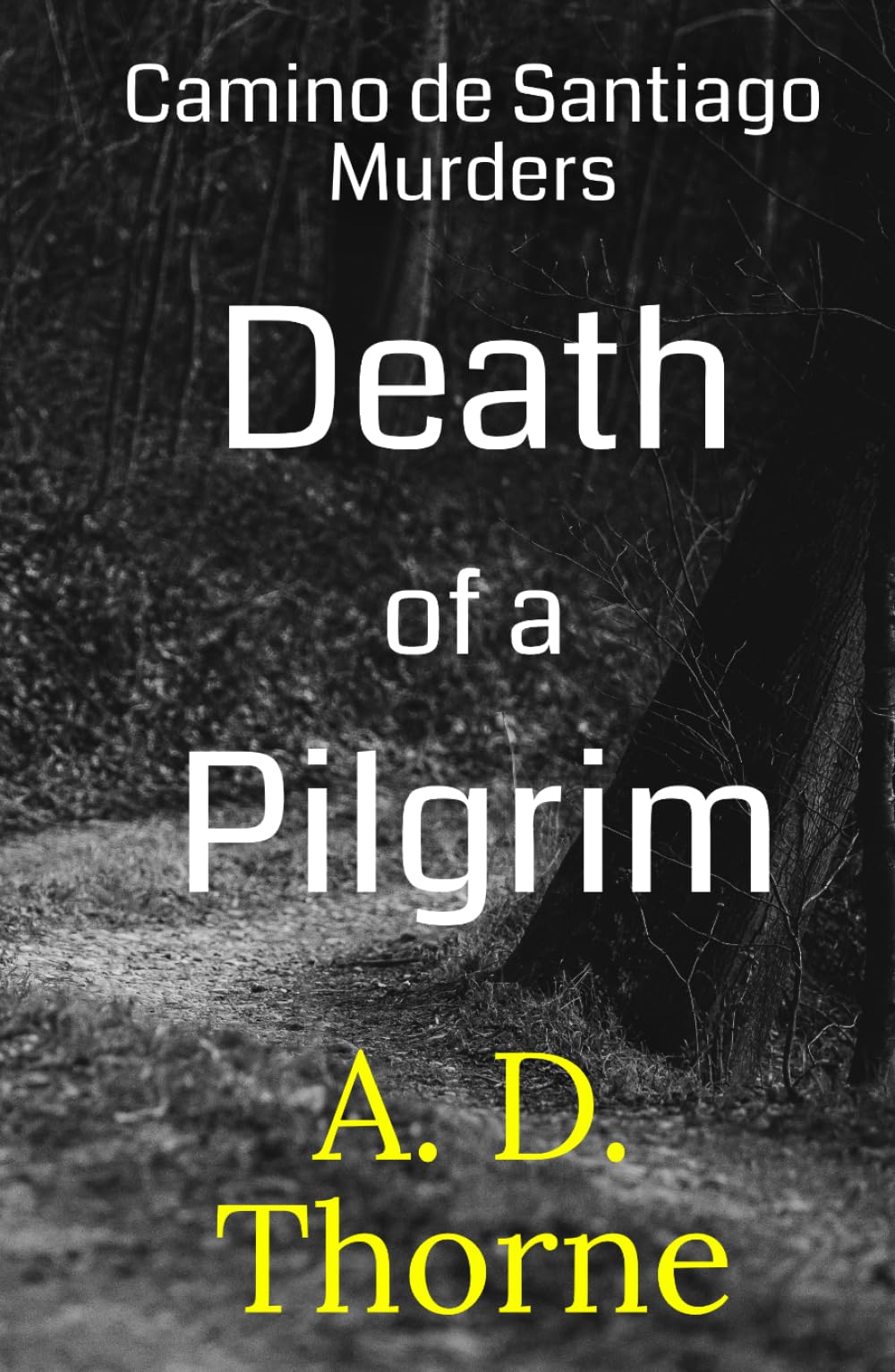 Death of a Pilgrim: An International Mystery (Camino de Santiago Murders)