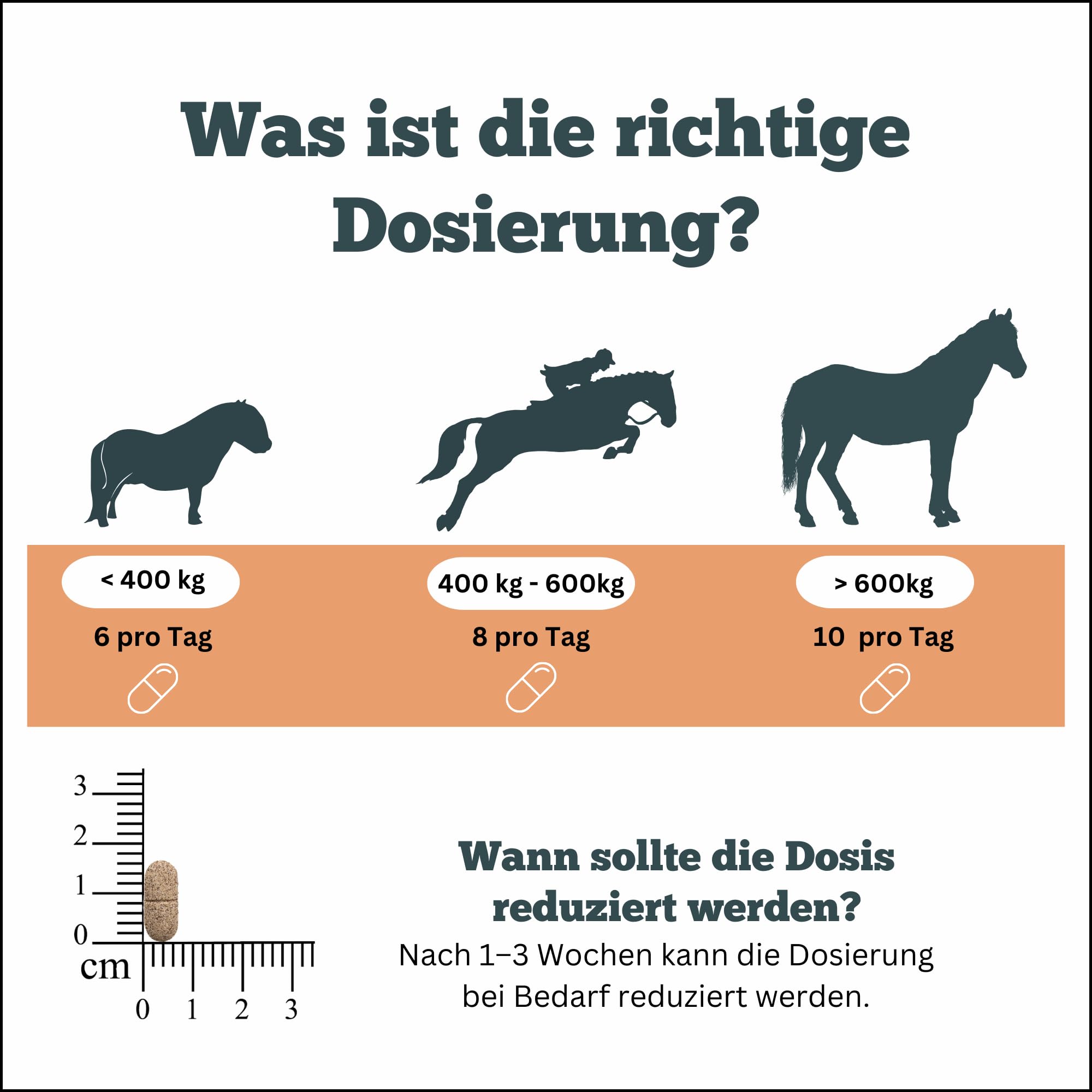 Smooth Locomotion Horse - Suplement diety dla silnych pleców, tylnej ręki i kopyta - wytrzymałość na koń - 180 tabletek po 1000 mg