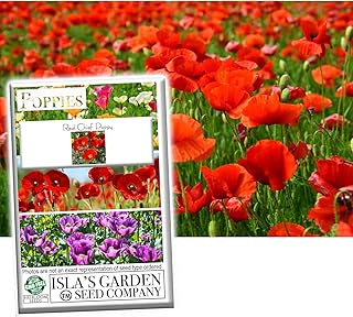Red Chief Poppy Seeds for Planting, 2000+ Flower Seeds Per Packet, (Isla's Garden Seeds), Non GMO & Heirloom Seeds, Botani...