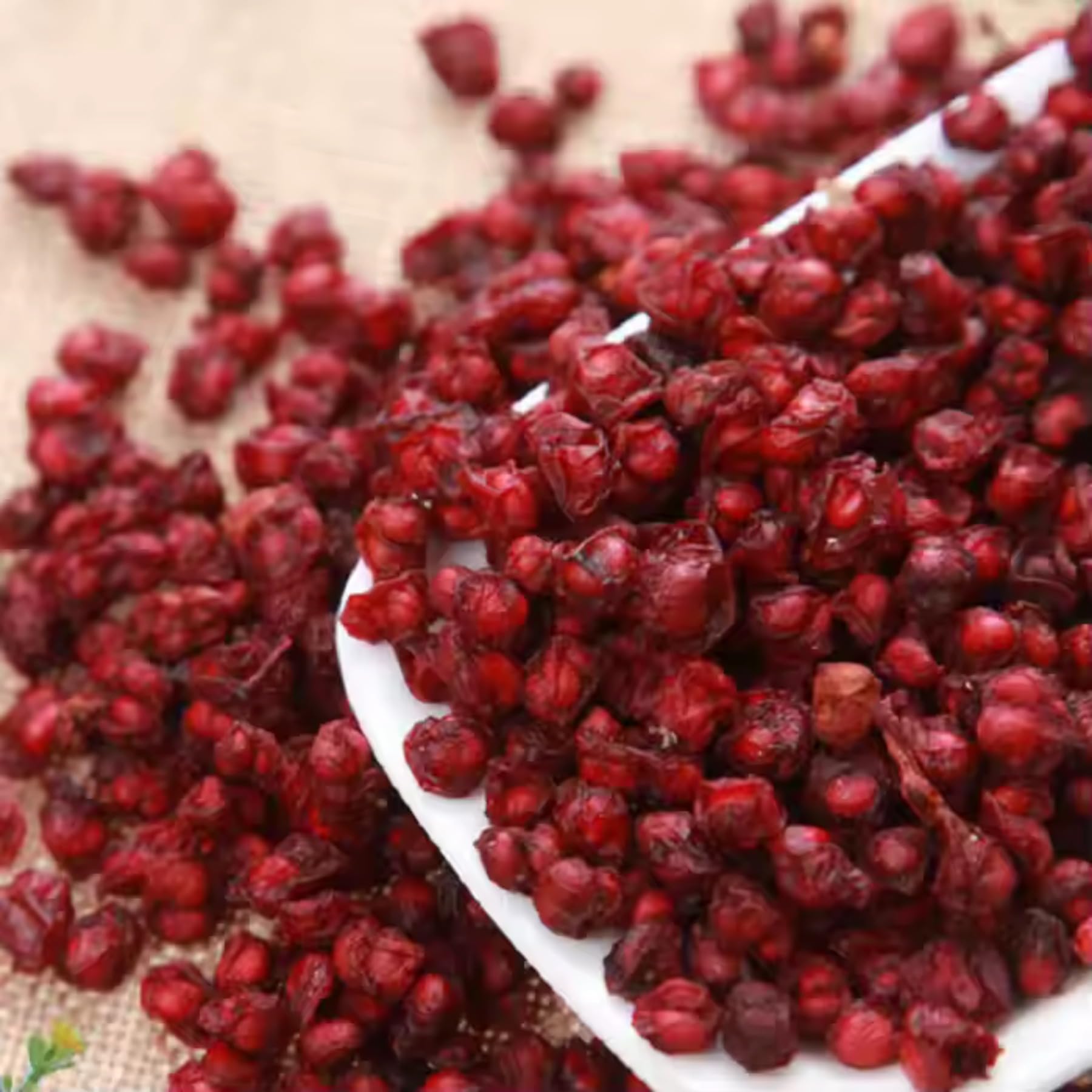 Premium Grade Getrocknete Schisandra Beeren Natürlicher Kräutertee Nördliche Schisandra, Eine Gesunde Wahl (1000g)