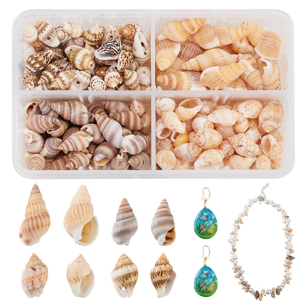 300g Conchiglie Naturali Con Foro - Per Craft Gioielli E Decorazioni Marine