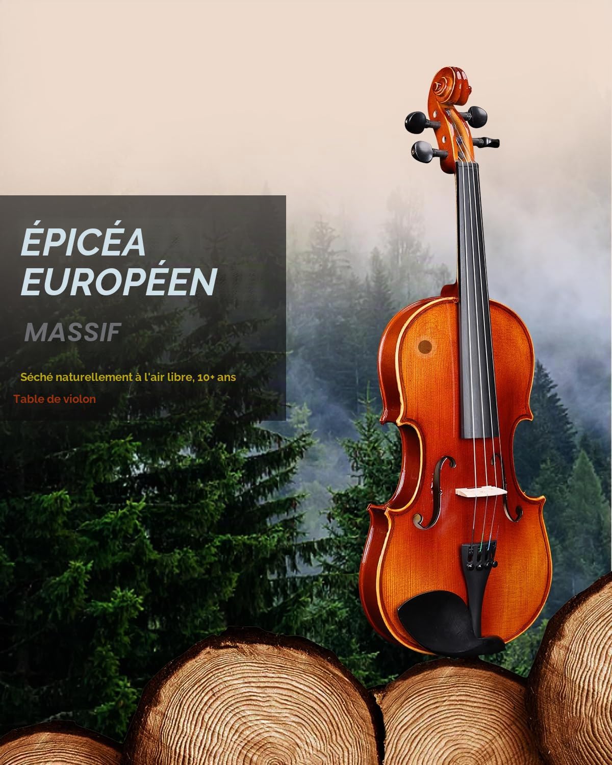 Violon 4/4 en bois massif pour adultes et enfants à partir de 12 ans – Kit professionnel avec 12 accessoires (épicéa et érable)