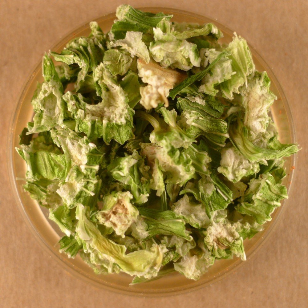 Celery Flakes 1.5 oz Stovetop Shaker Jar Celery Seeds