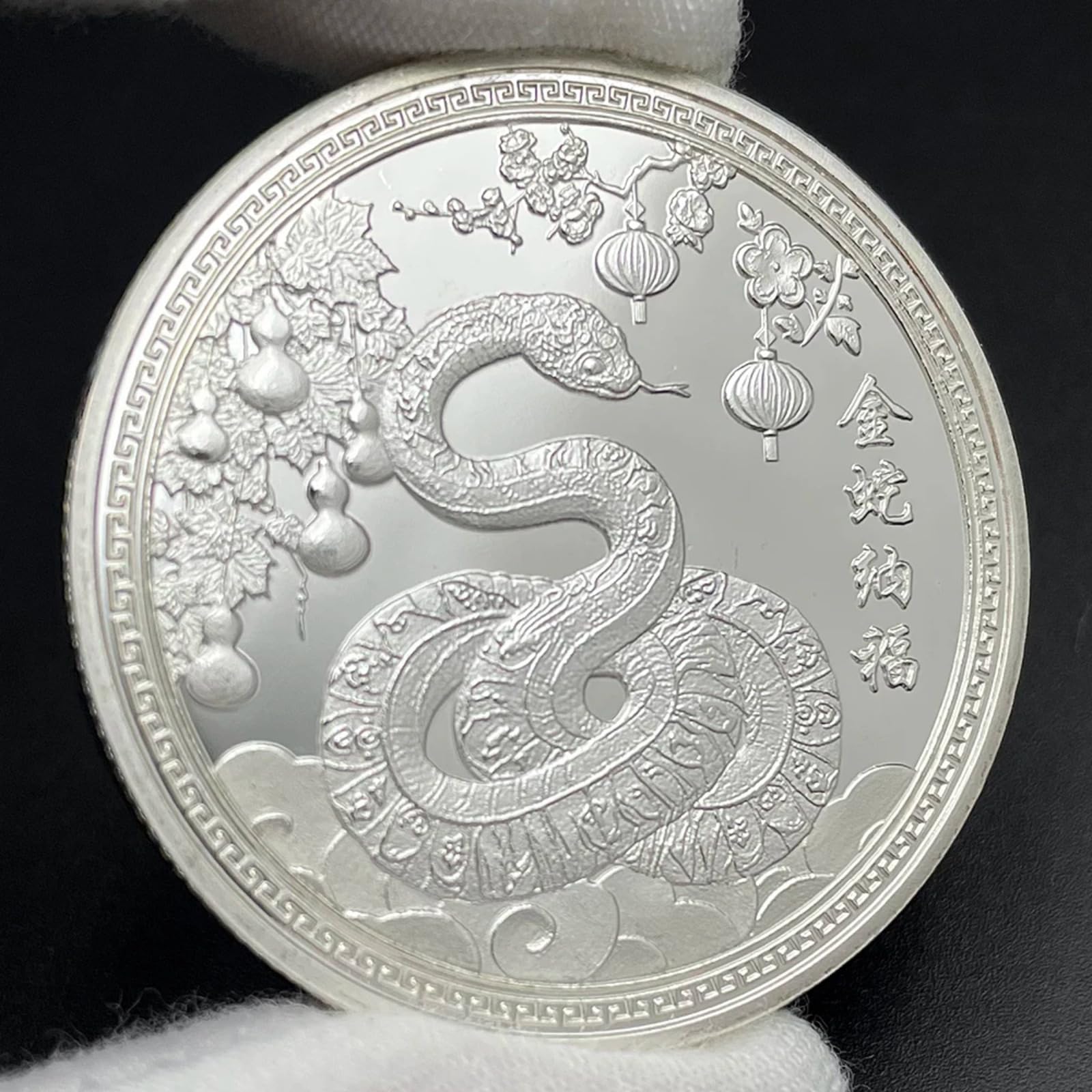 Pièce de monnaie 2025 Année du Serpent médaille Feng Shui de 4 cm