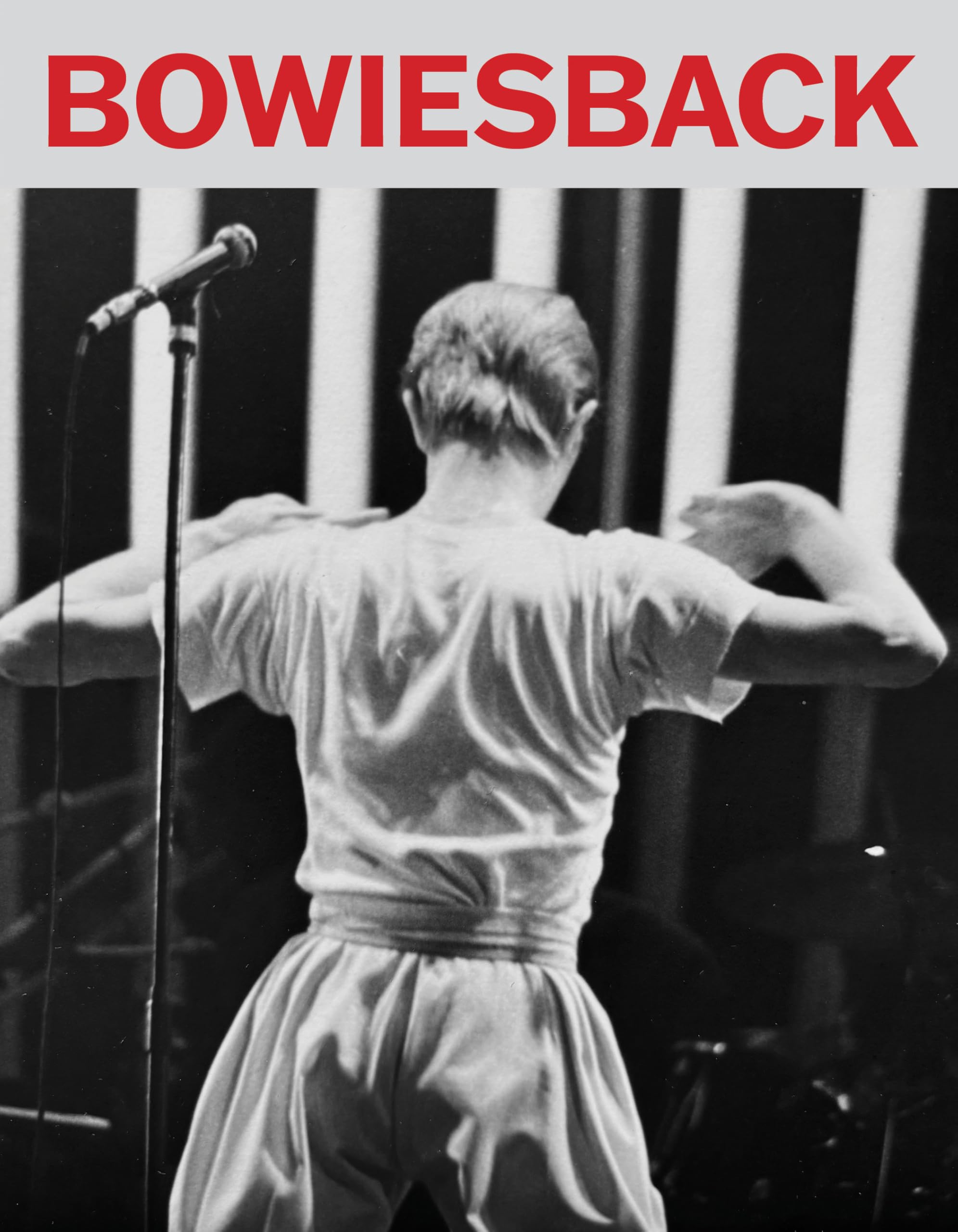 Bowie’s Back