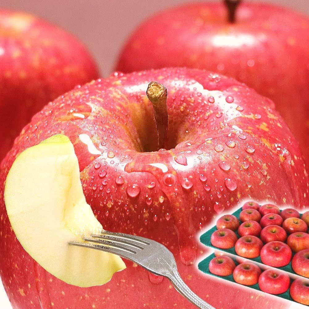 青森期待の新人商店 りんご サンふじ ご家庭用/訳あり 青森 林檎