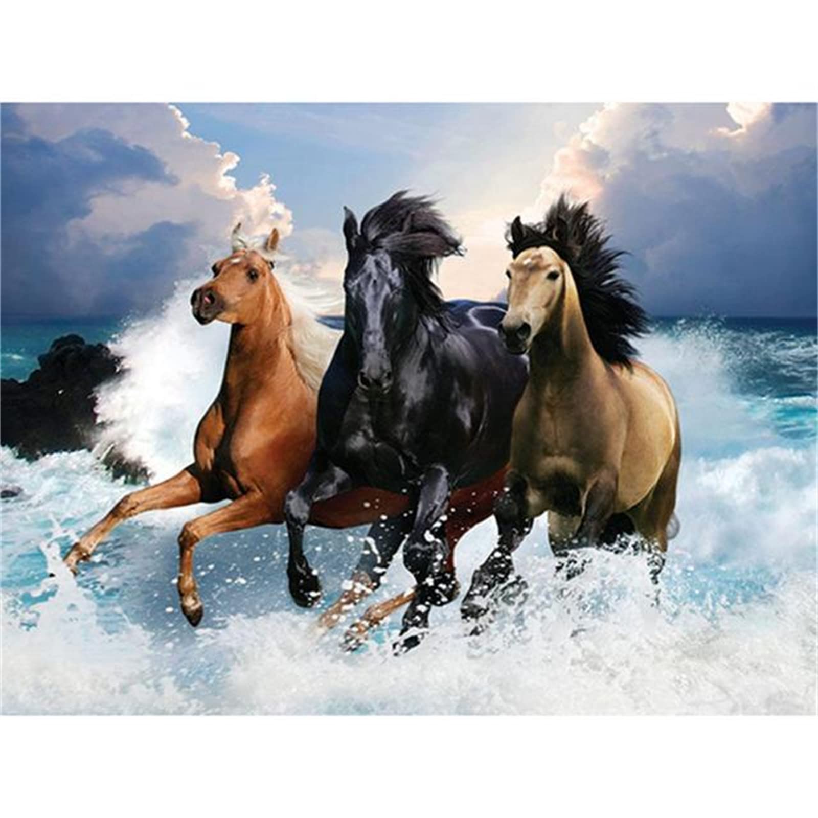 Kit Peinture Diamant 5D Adultes - Fleur Et Cheval - Toile 30x30cm Avec Diamants Et Outils - Déco Murale