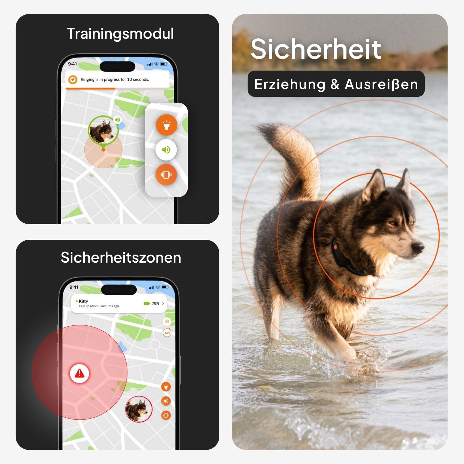 Weenect Hund XT - GPS-Tracker für Hunde Ohne Halsband | Wasserdicht | XL-Antenne | Unbegrenzte Reichweite Abonnement Erforderlich